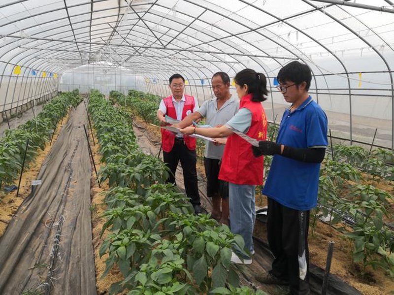 新疆生物科技：自然与科技碰撞的独特魅力
