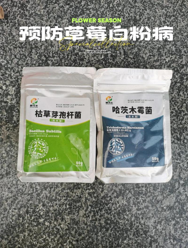 生物科技引领新疆农业现代化