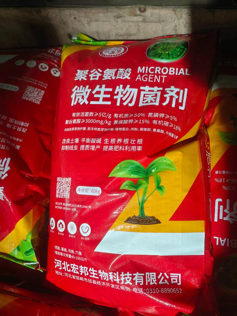 微生物菌肥在现代农业的关键作用与发展趋势