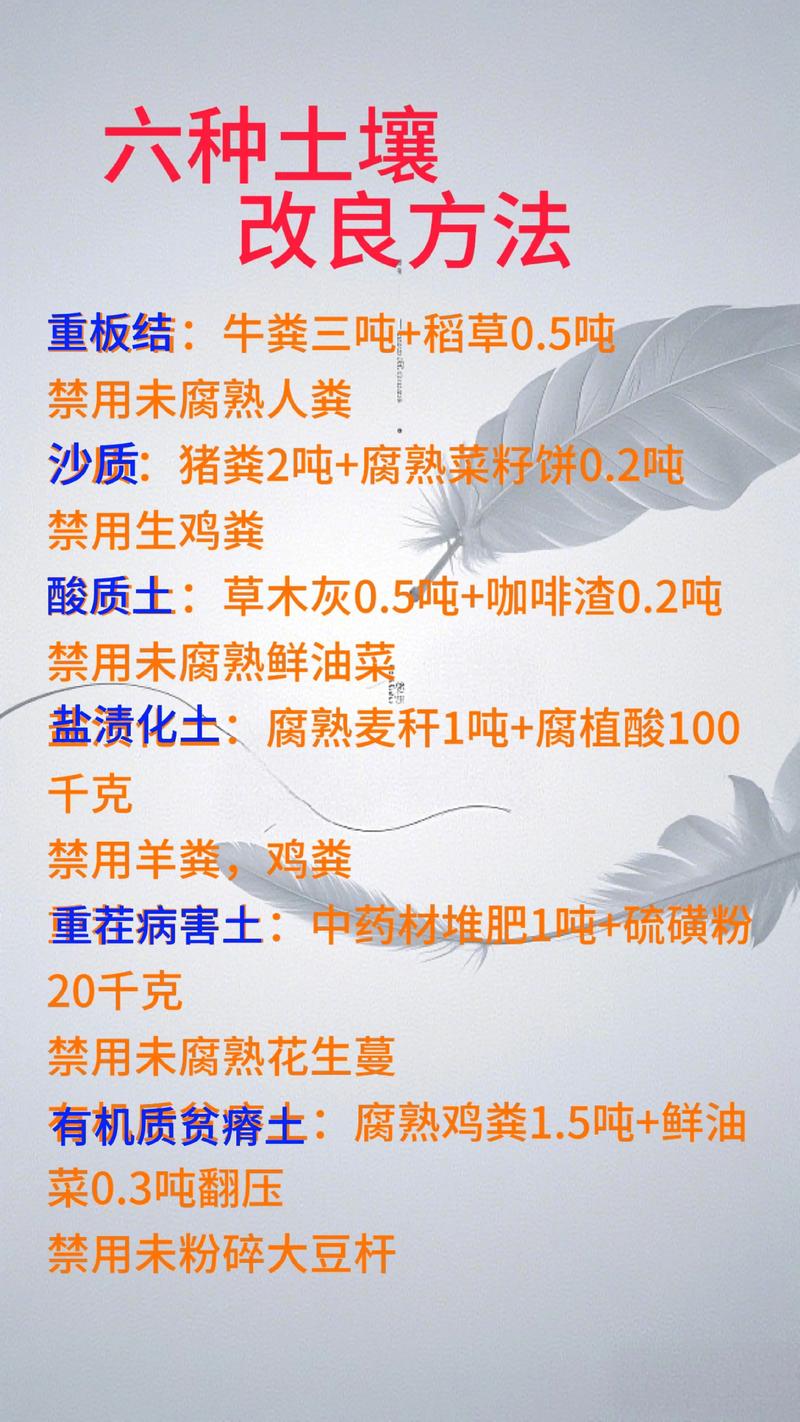 玉米专用肥